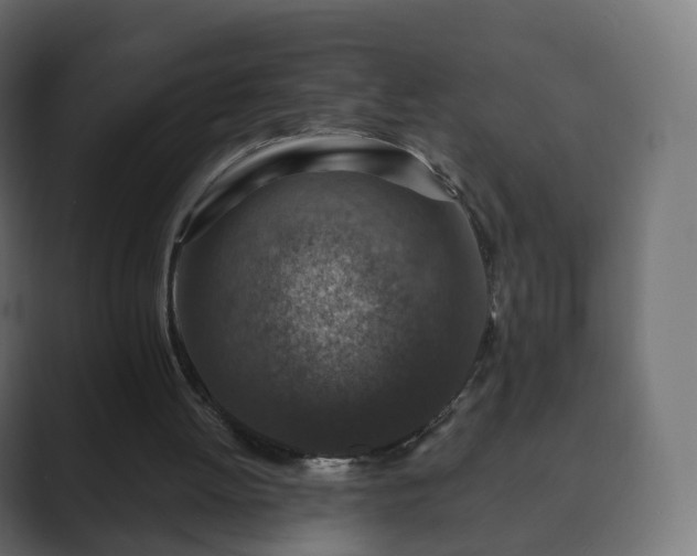 X0000089700052200706281502