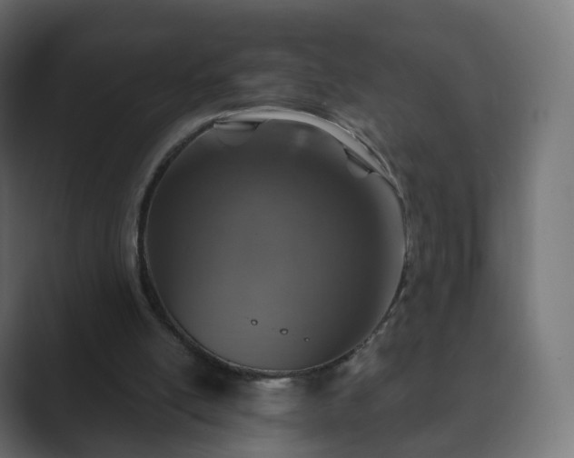 X0000089700054200706281502