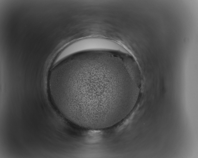 X0000089700055200706281502