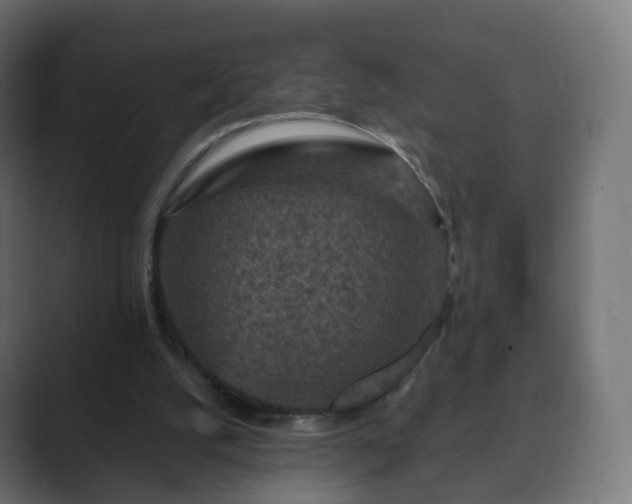 X0000089700056200706281502