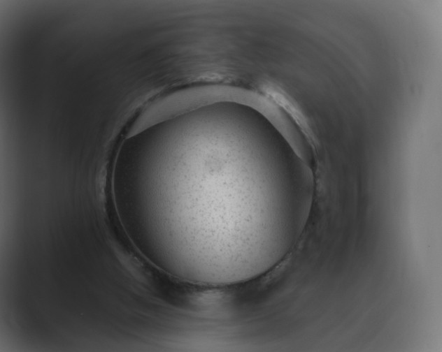 X0000089700058200706281502