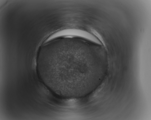 X0000089700059200706281502