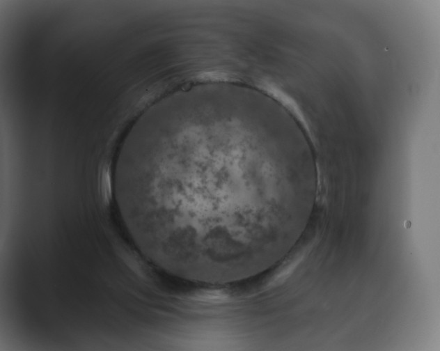 X0000089700061200706281502