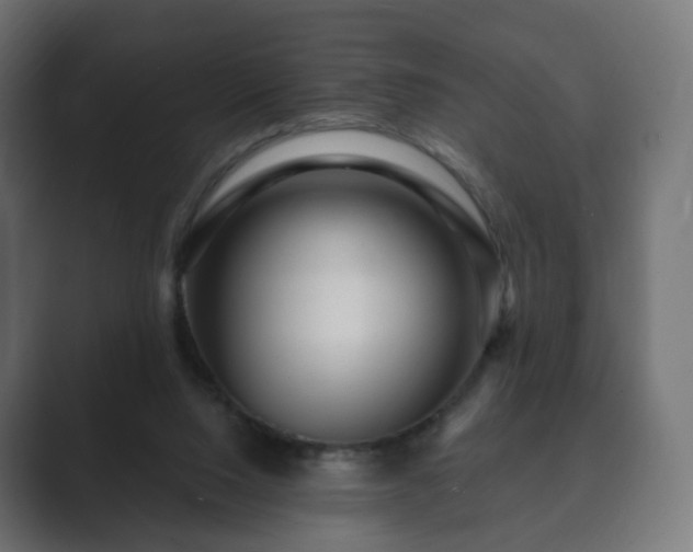 X0000089700064200706281502