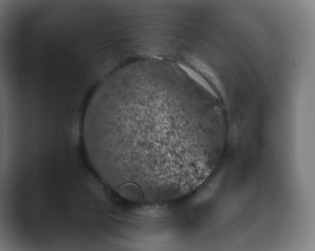 X0000089700065200706281502