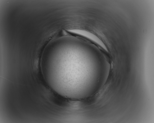 X0000089700066200706281502