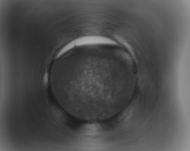 X0000089700067200706281502