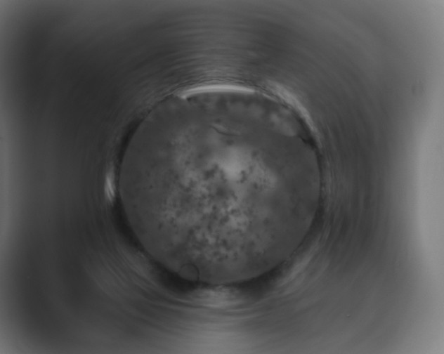 X0000089700069200706281502