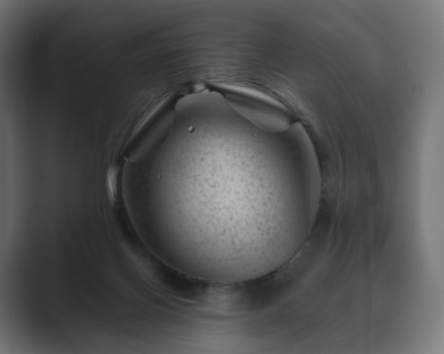 X0000089700070200706281502