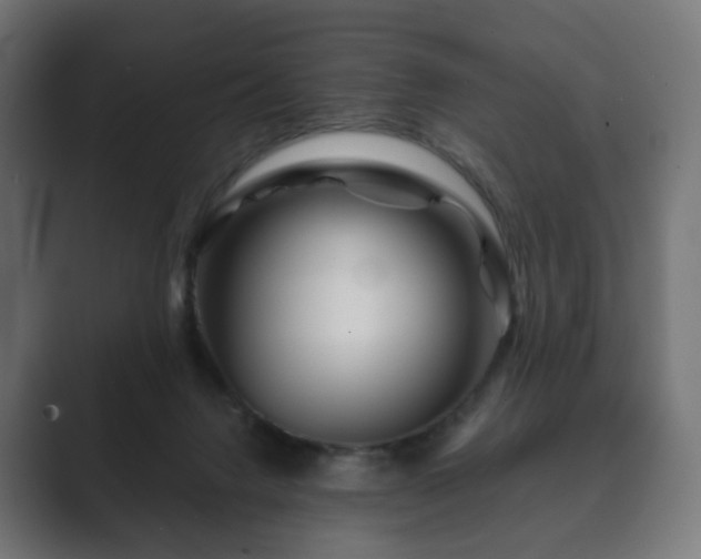 X0000089700072200706281502