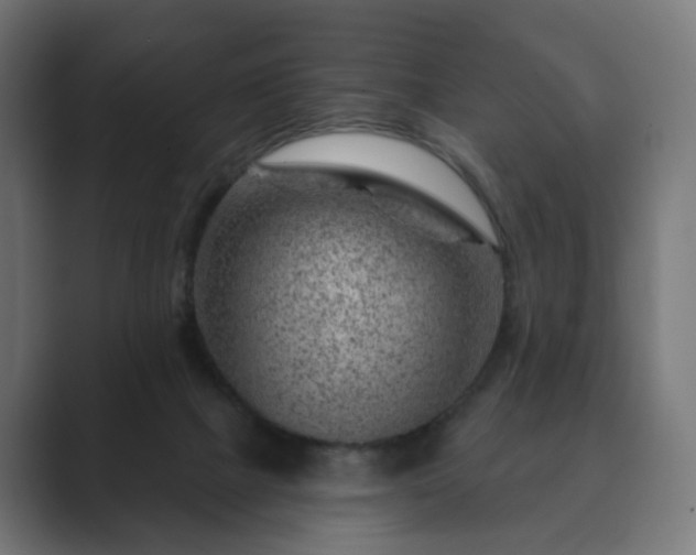 X0000089700073200706281502