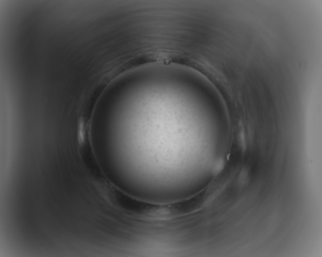 X0000089700075200706281502