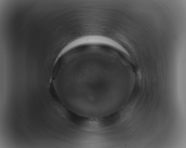 X0000089700076200706281502