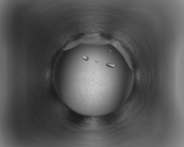 X0000089700079200706281502