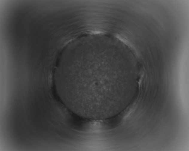 X0000089700080200706281502