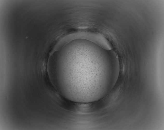 X0000089700081200706281502