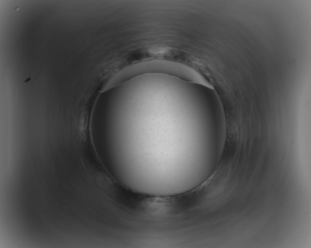 X0000089700082200706281502