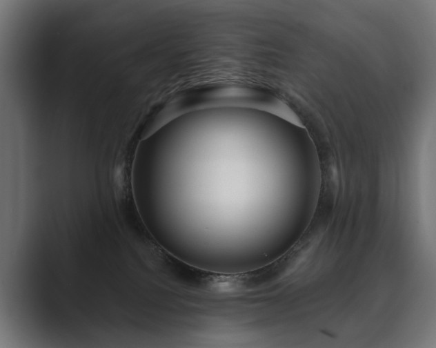 X0000089700088200706281502