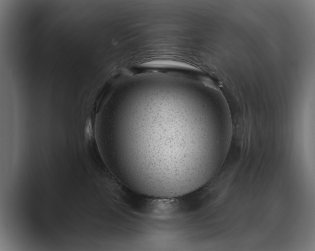 X0000089700089200706281502