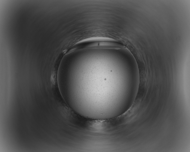 X0000089700090200706281502