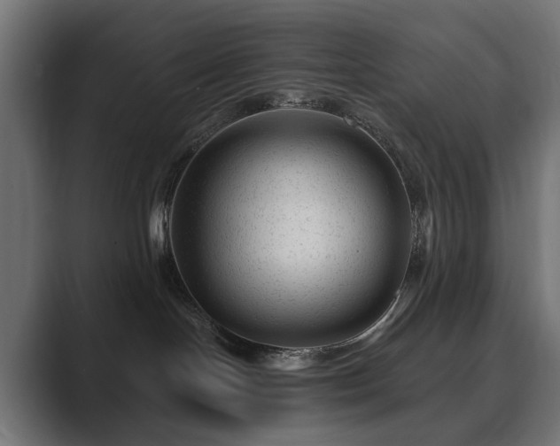 X0000089700094200706281502