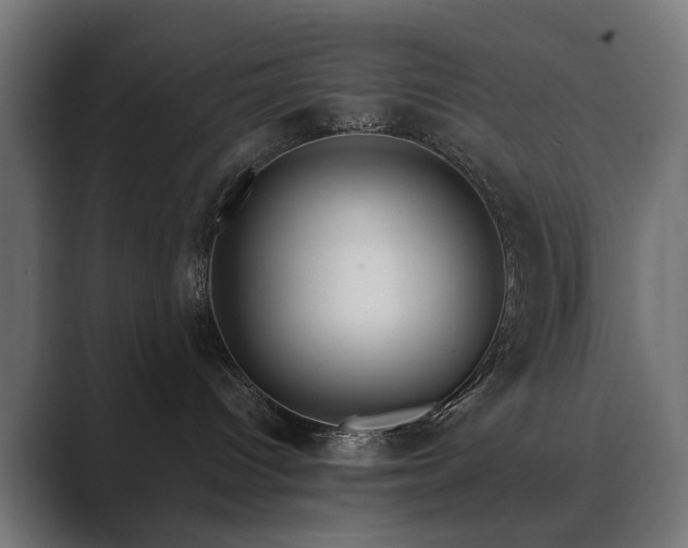 X0000089700096200706281502