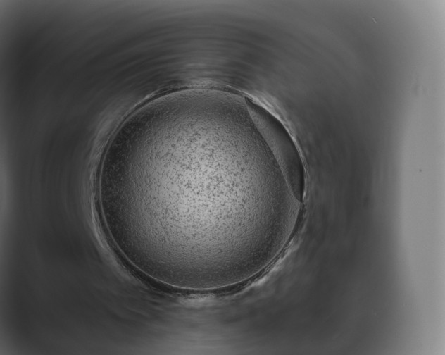 X0000089700097200706281502