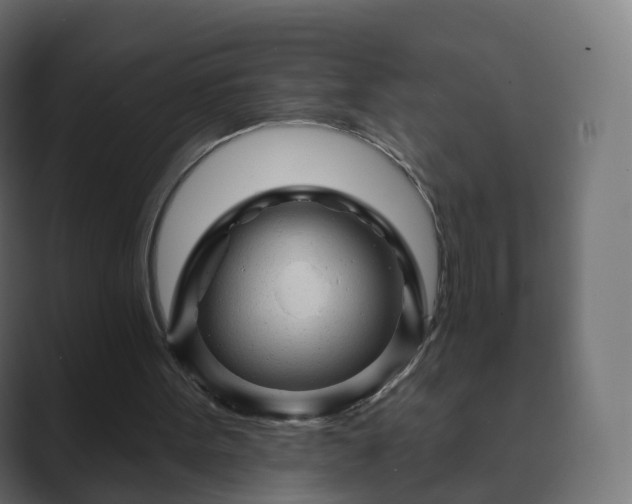 X0000089700099200706281502