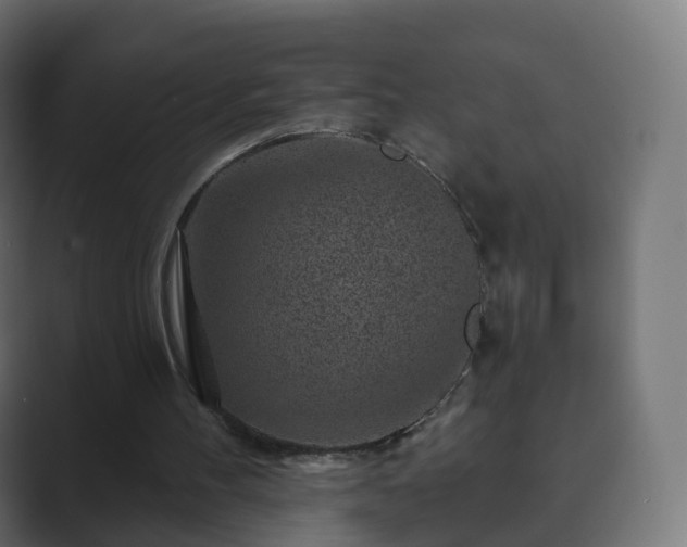 X0000089700100200706281502