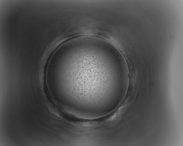 X0000089700103200706281502