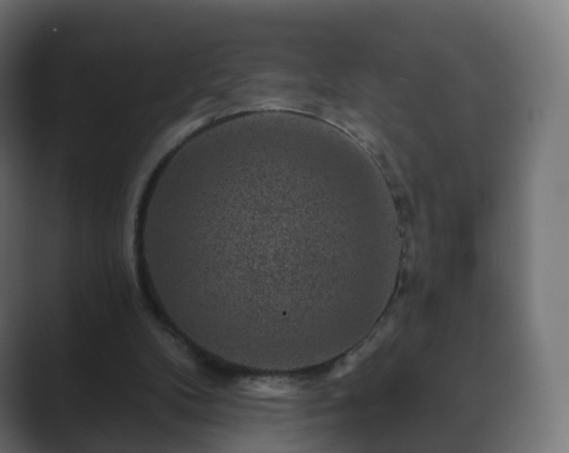 X0000089700104200706281502