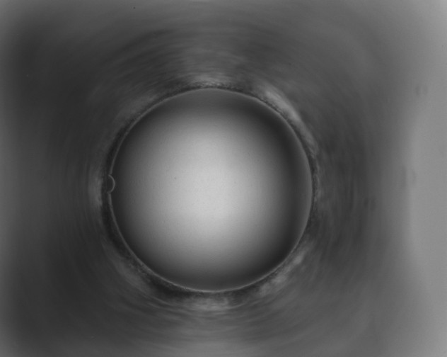 X0000089700106200706281501