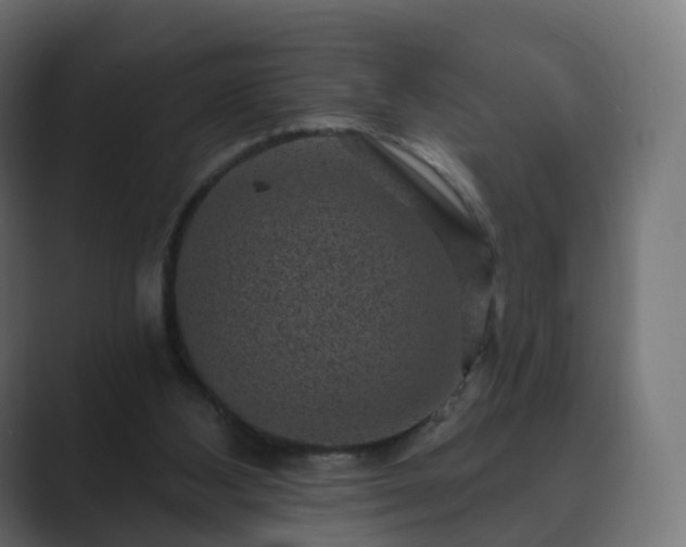 X0000089700108200706281501