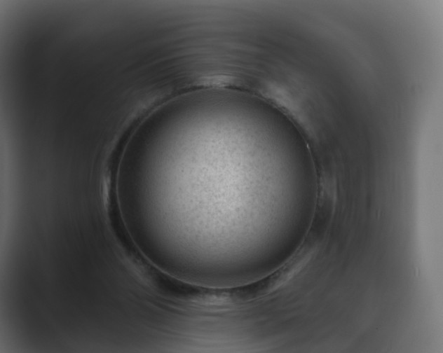 X0000089700110200706281501