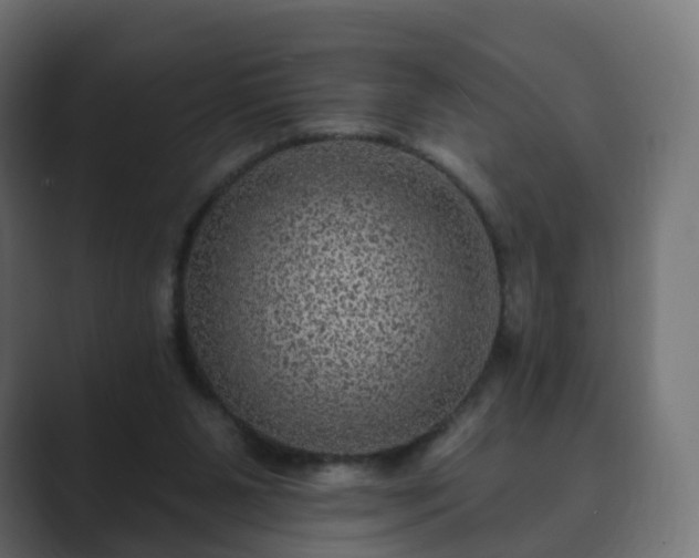 X0000089700111200706281501