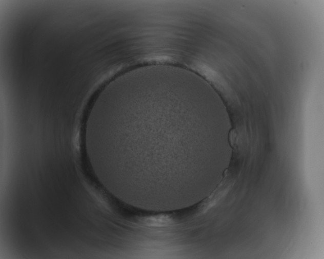 X0000089700112200706281501