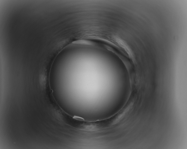 X0000089700113200706281501