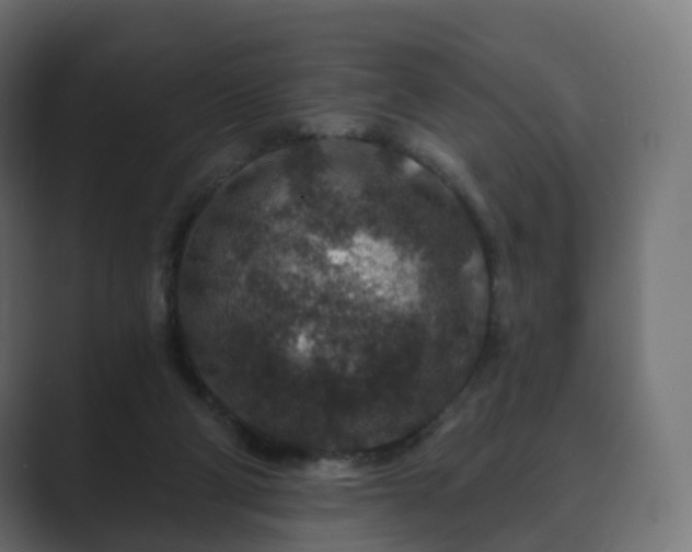 X0000089700114200706281501