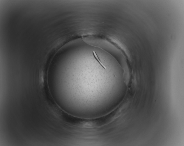 X0000089700115200706281501