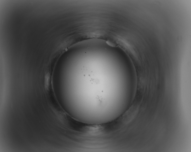 X0000089700118200706281501