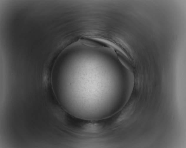 X0000089700119200706281501