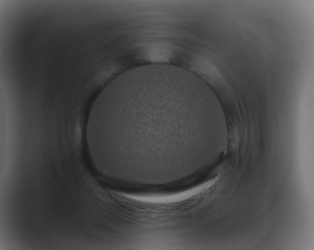 X0000089700120200706281501