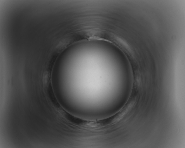 X0000089700121200706281501