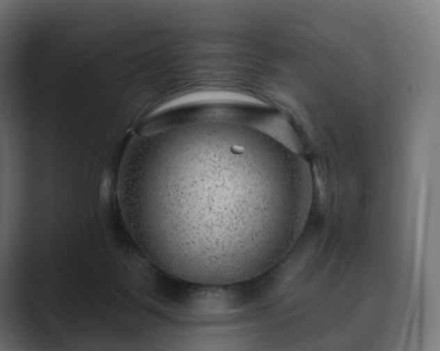 X0000089700123200706281501