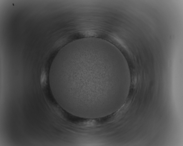 X0000089700124200706281501