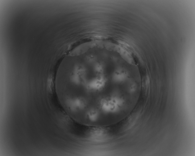 X0000089700127200706281501