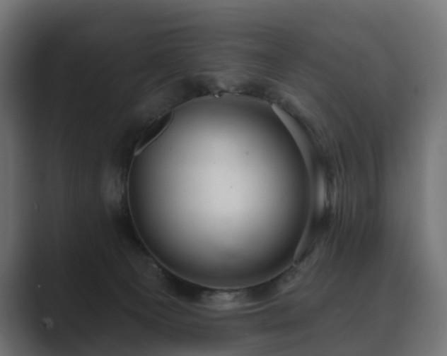 X0000089700129200706281501