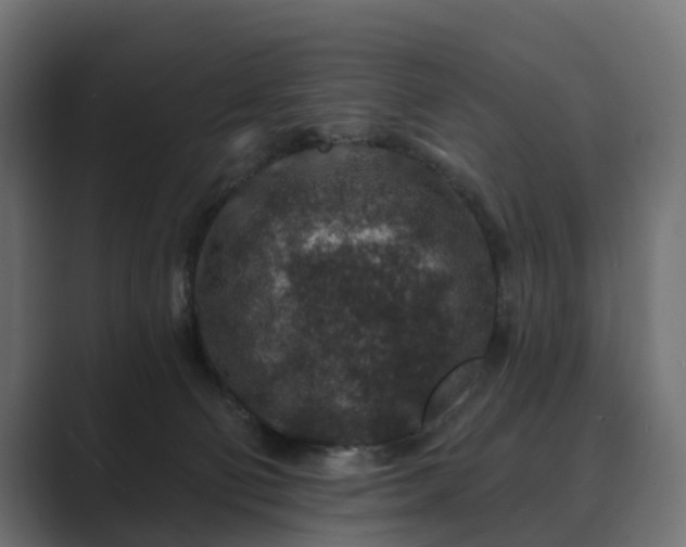 X0000089700130200706281501