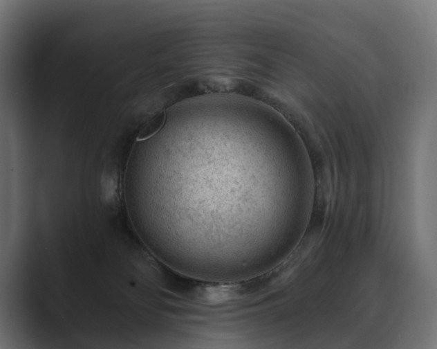 X0000089700134200706281501