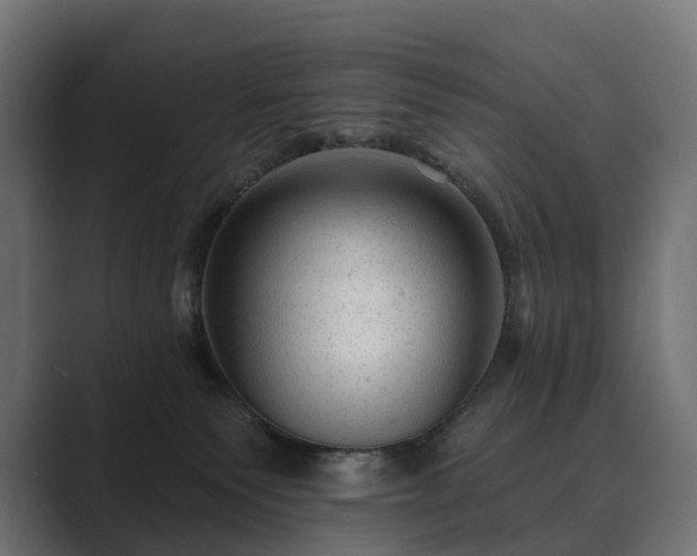 X0000089700135200706281501